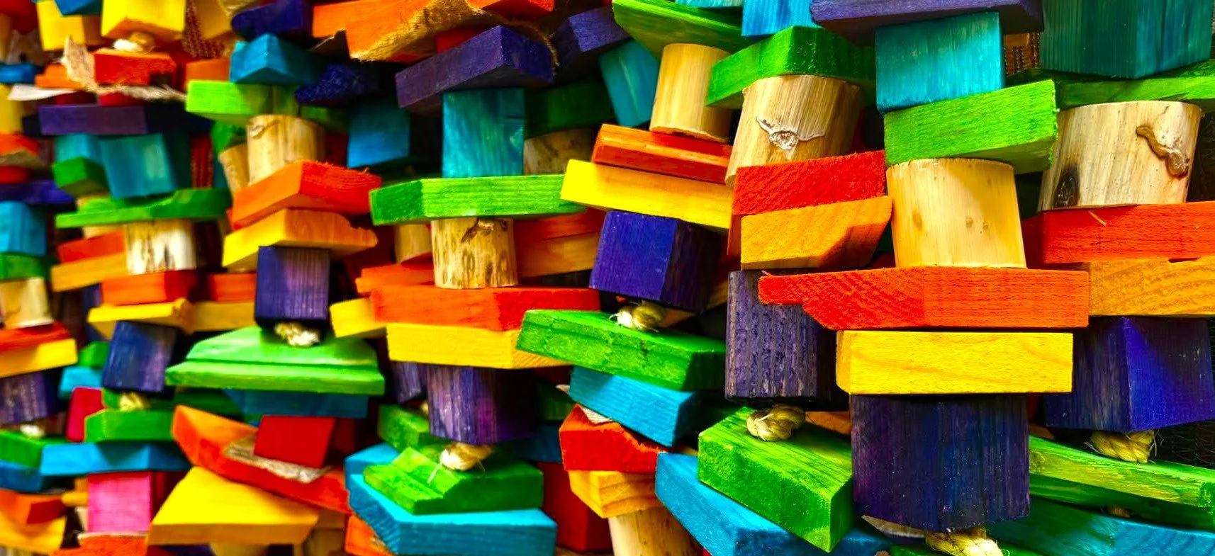 Jungle Toys